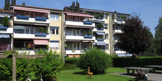 6012 Obernau, Attraktive 4½-Zimmer Wohnung mit Cheminée – Die Gelegenheit